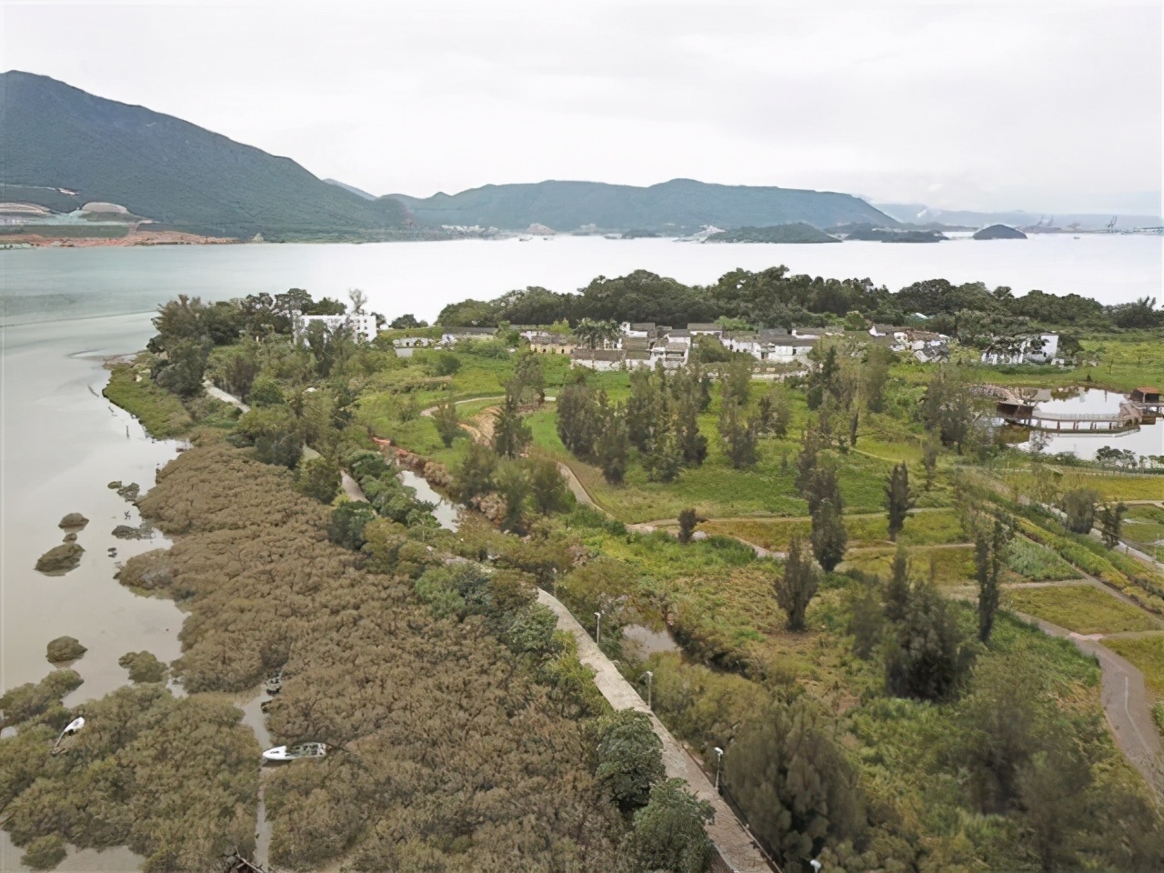 深圳志愿者帮助失联20年人回家,深圳志愿者公益活动