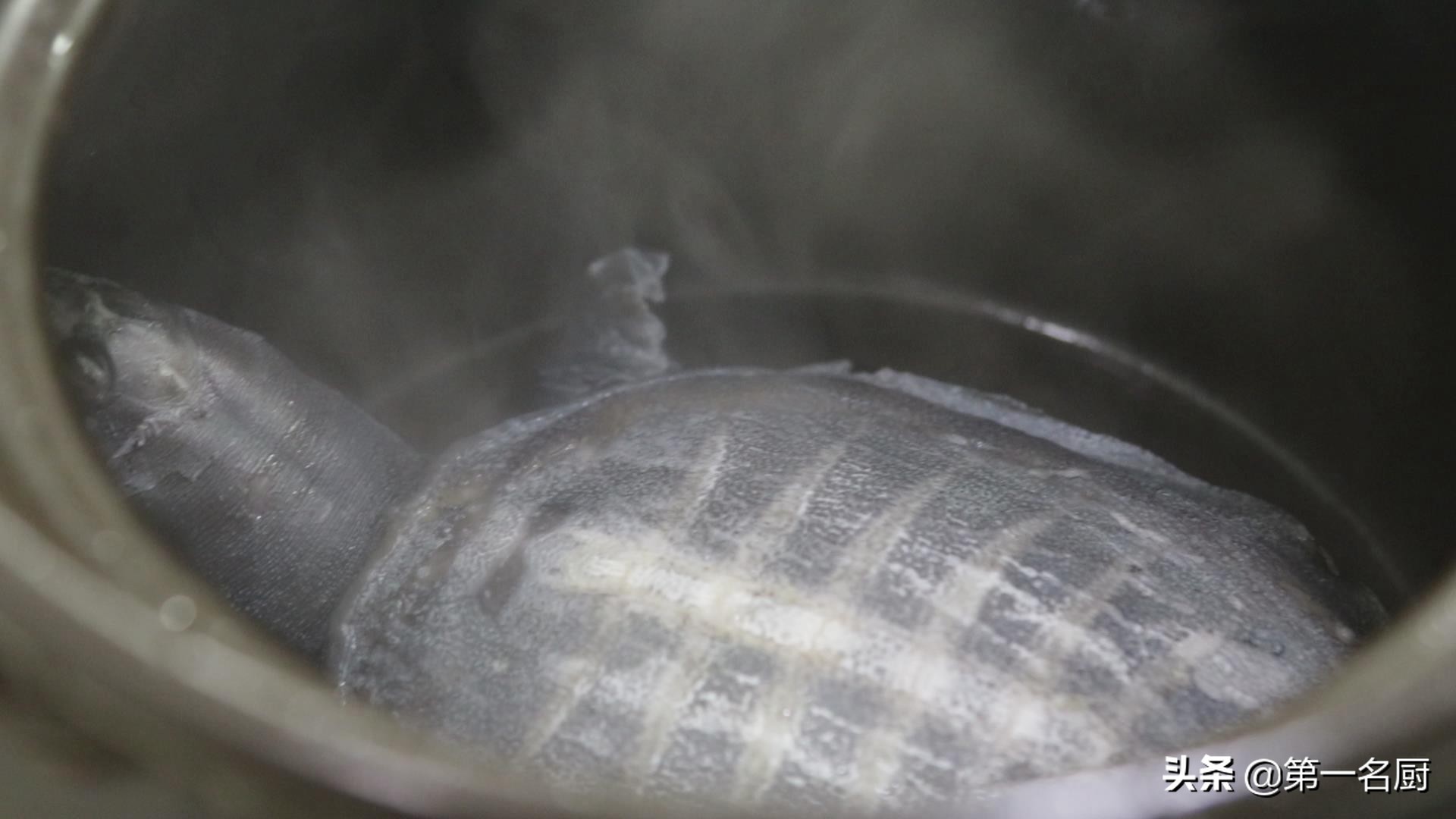 如何将清炖甲鱼汤炖的粘稠,甲鱼汤怎样炖才好喝又白