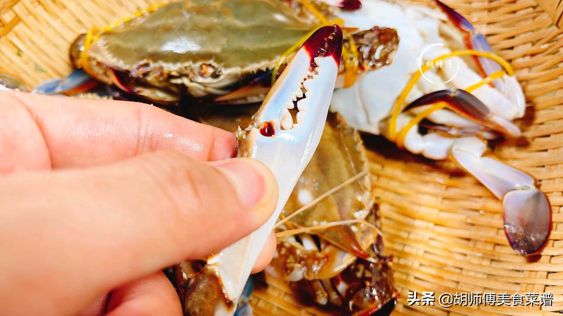 买螃蟹要怎么选才有肉,买螃蟹的小技巧