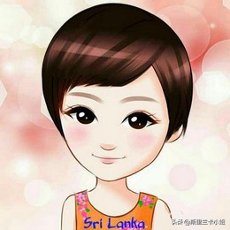 斯里兰卡有什么生意好做,斯里兰卡做生意好做吗