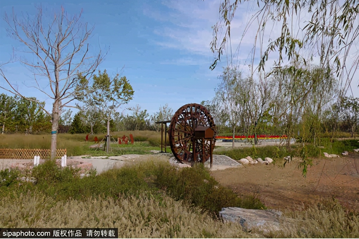 北京网红公园打卡地,北京拍照打卡森林公园