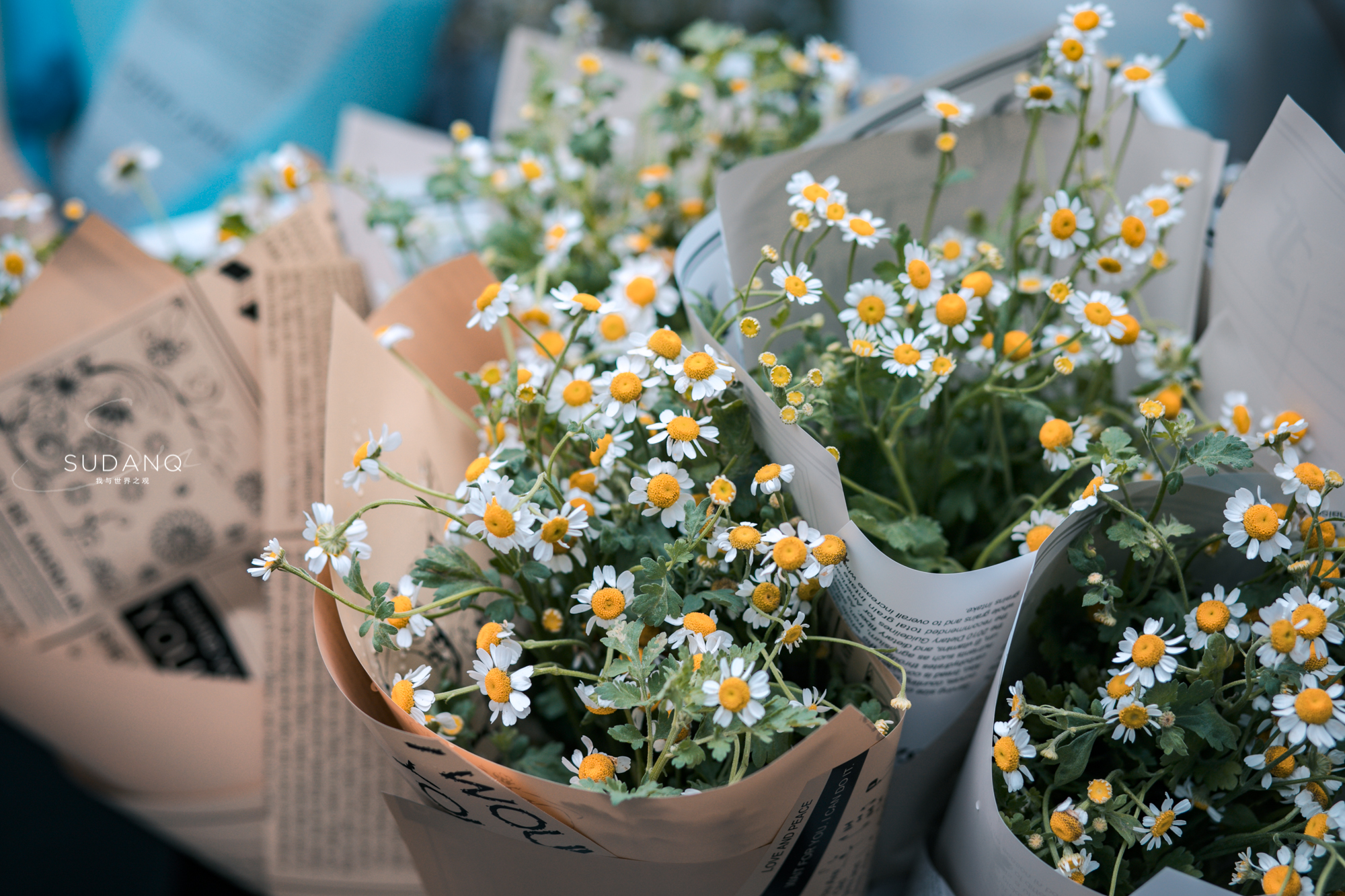 武汉铁机路花市,武汉解放公园花市