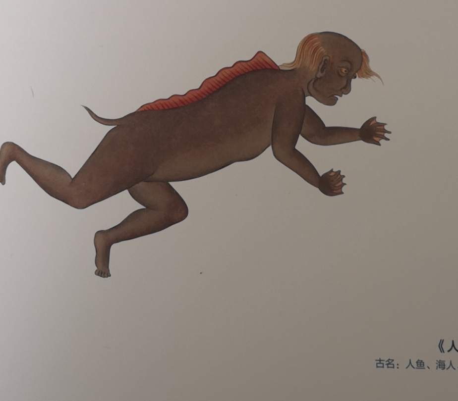 关于人鱼的真实传说,人鱼的真正传说