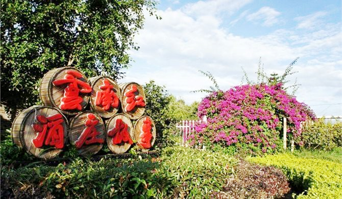 中国五大葡萄酒产区排名,中国有哪些著名葡萄酒产区和酒庄