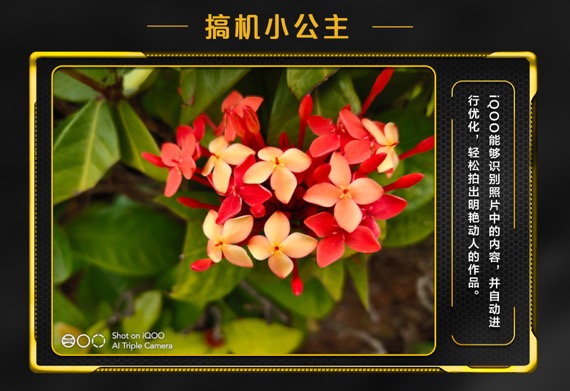 搭载索尼旗舰级IMX363传感器，iQOO拍照效果如何？样张会说话