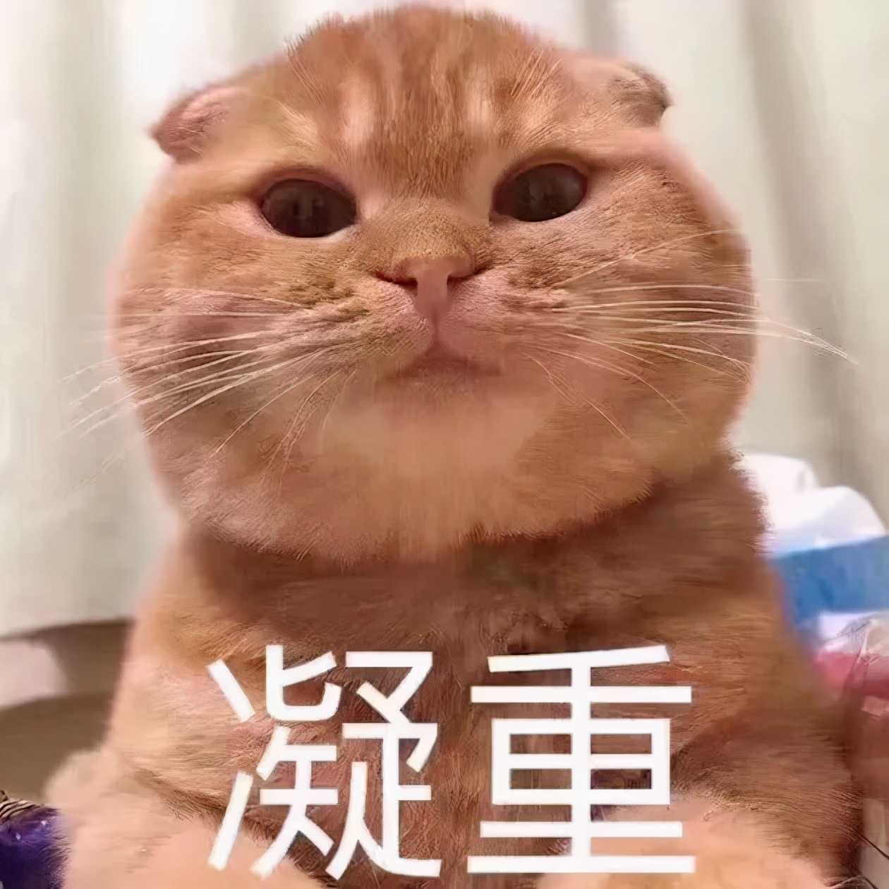 装修雷区十大禁忌,装修雷区