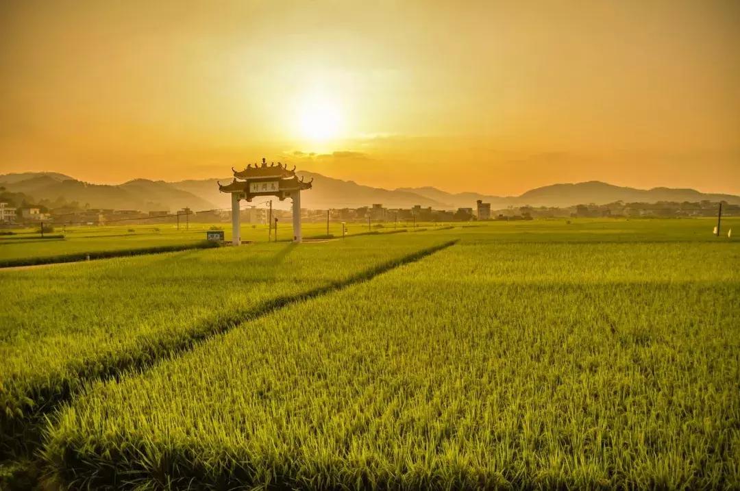 泼辣活动|“希望的田野”地铁影展征集