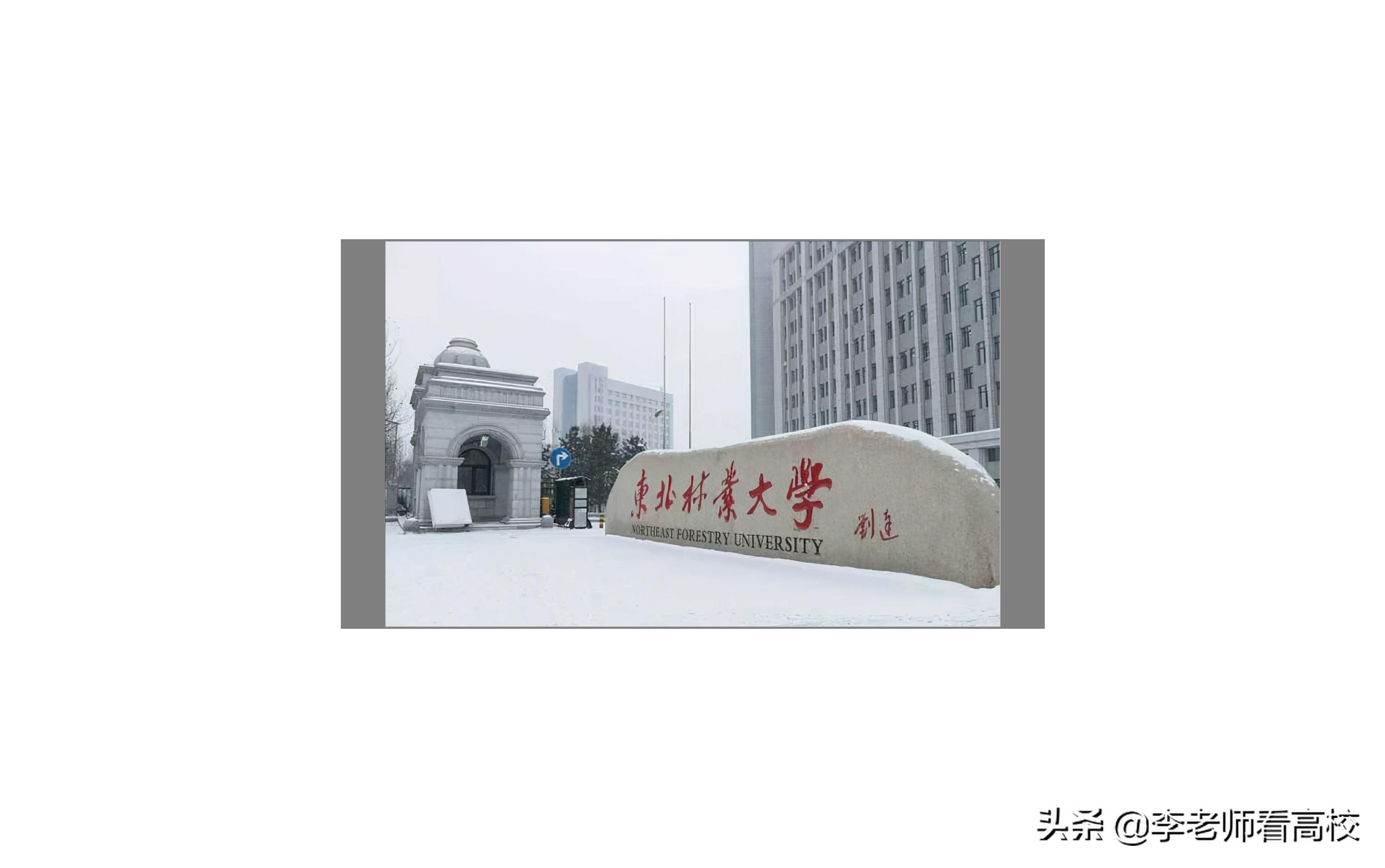 东北林大是省属还是部属高校,东北林大硕博连读几年