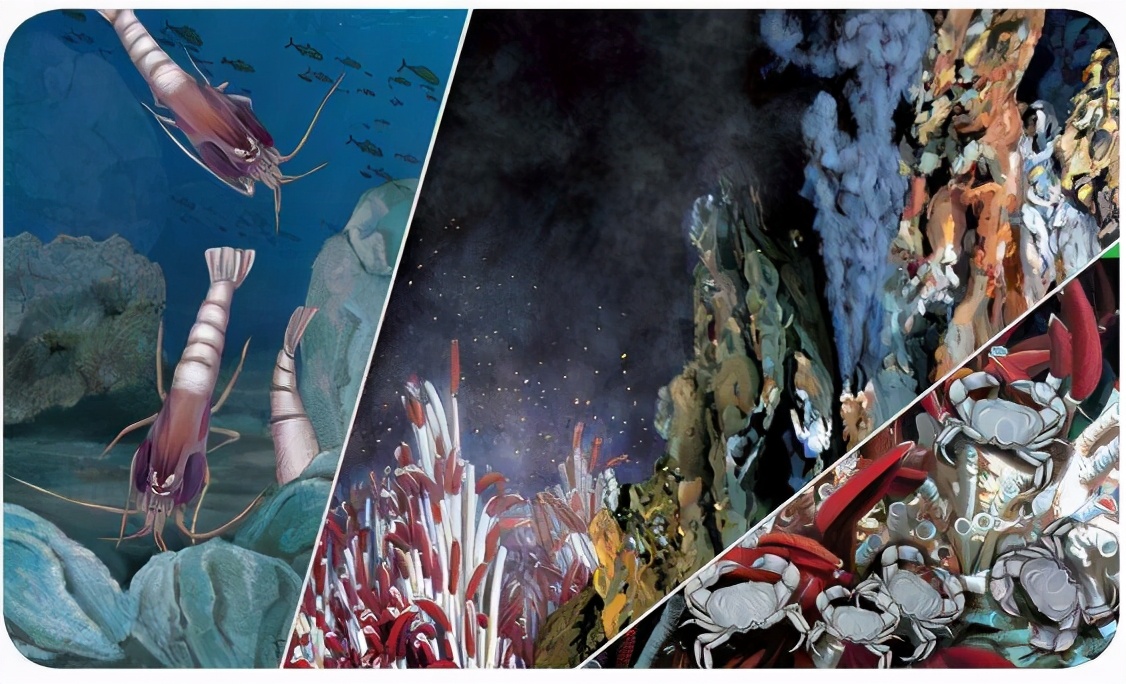 450℃海底热泉旁生活着的大虾，该如何才能煮熟？