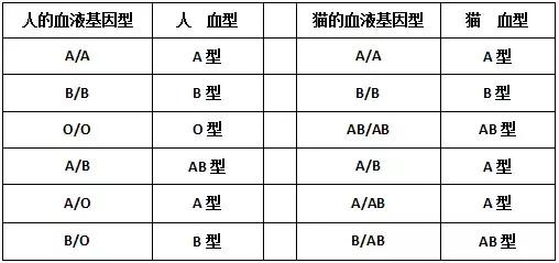 给宠物献血有什么好处,宠物献血的好处和坏处