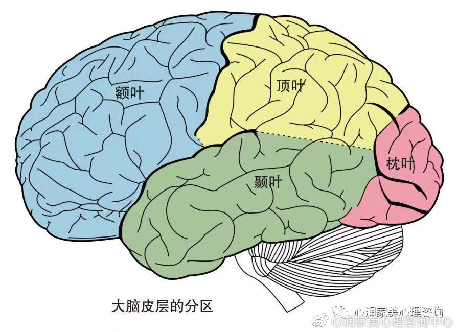 青春期的烦恼如何化解,怎么缓解青春期的迷茫