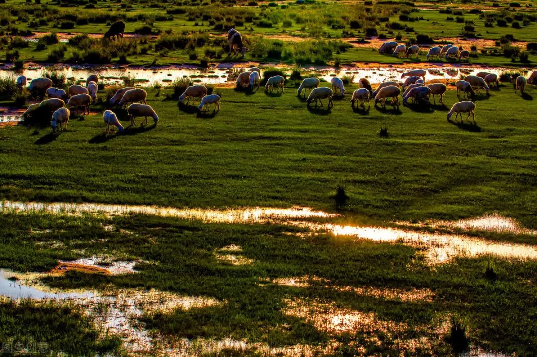 太仆寺街西单和中南海之间的皇家御马苑