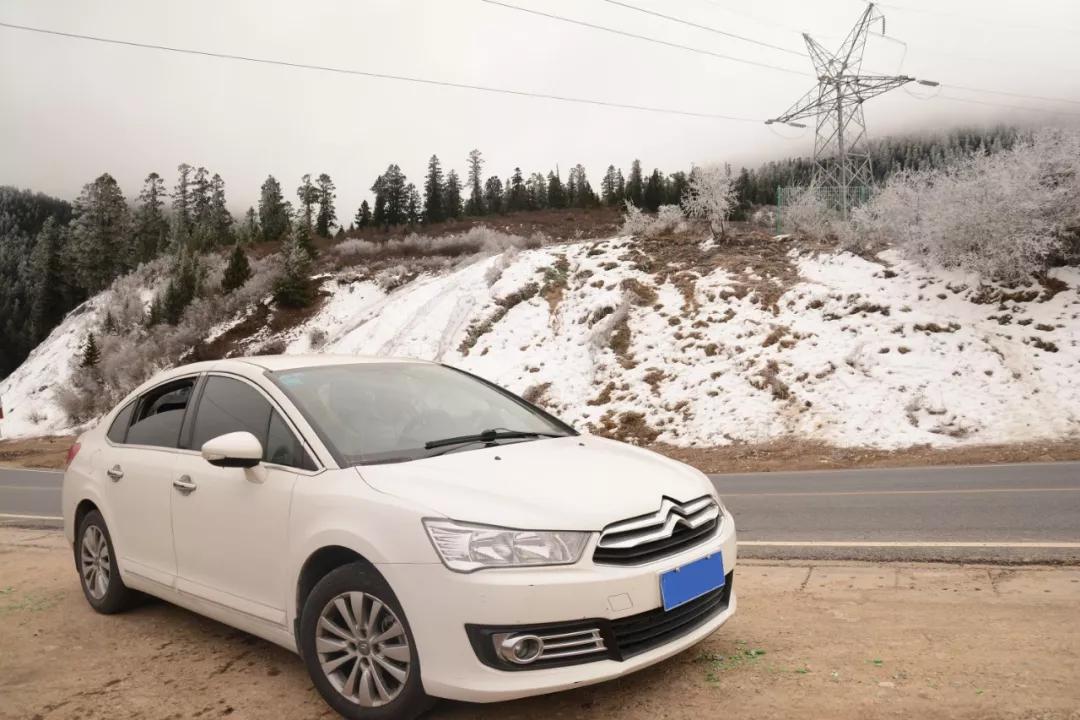 法系车雪铁龙世嘉,法系车雪铁龙c4世嘉怎么样