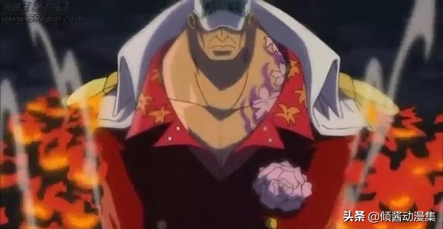 赤犬能当海军元帅吗,现在的海军元帅赤犬是什么实力