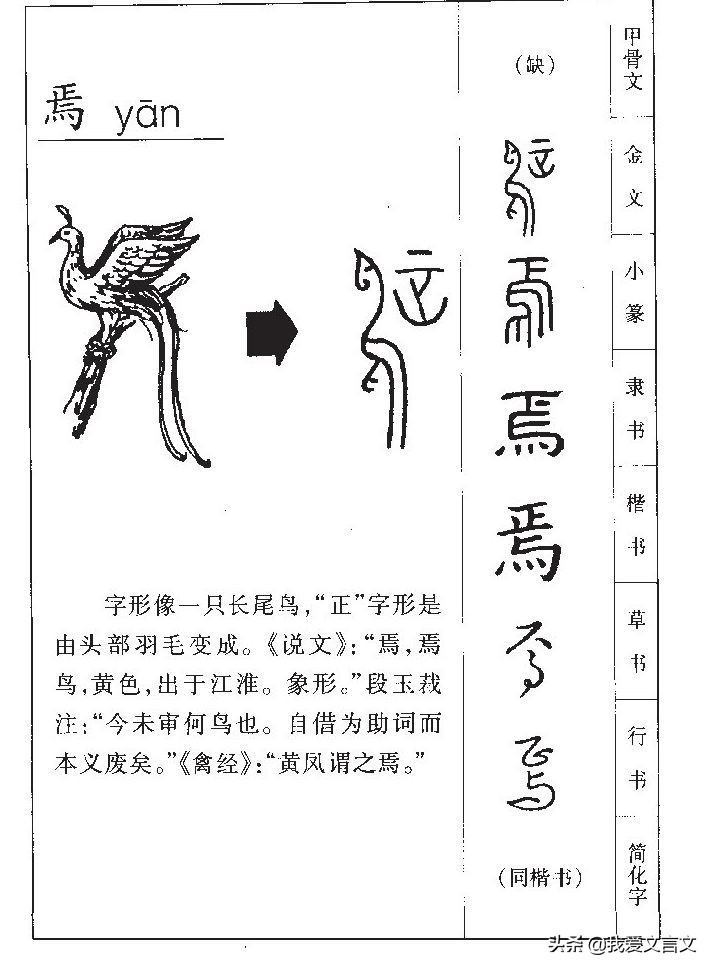 古代文言文大全摘抄及翻译,寓言故事南人捕孔雀
