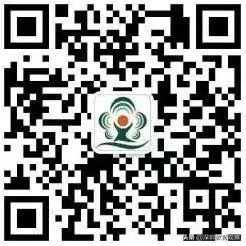 走名校vol.14|西乡中学：50年，我们专注做一件事