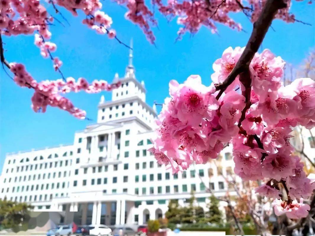 搞笑大学学校名称,哈尔滨各高校特点搞笑版