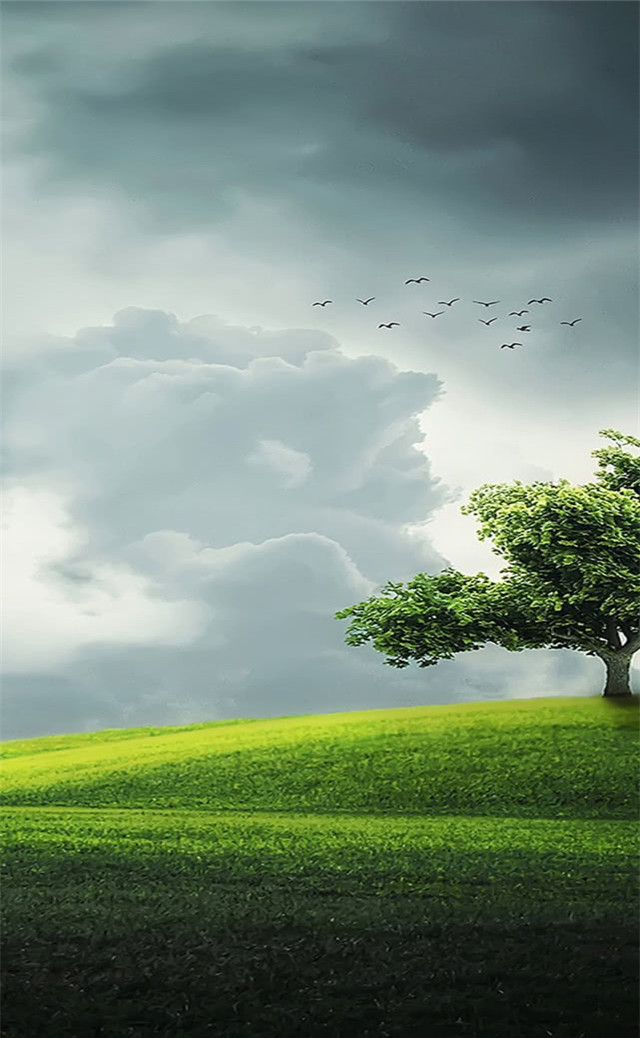 缓解眼睛疲劳动态图壁纸,好看的手机壁纸护眼高清图文