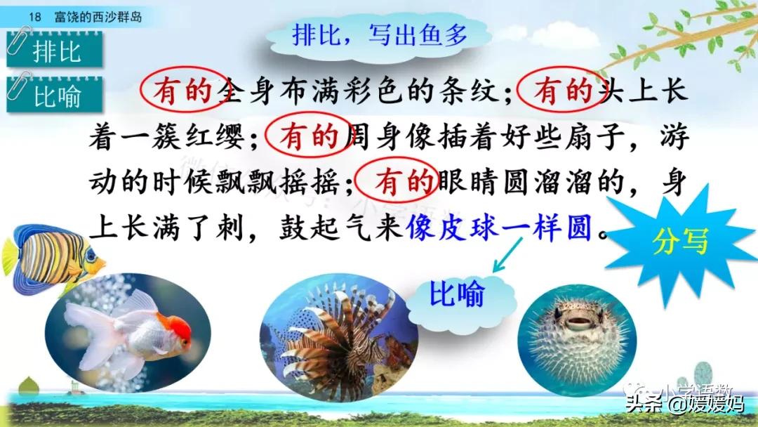 三年级第18课富饶的西沙群岛预习,3年级语文第18课富饶的西沙群岛