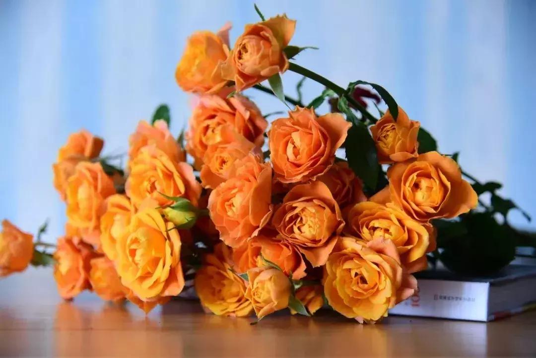 那些年你爱过的小说女配,那些年你爱过的老歌