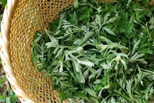 内蒙古端午节风俗粽子,少数民族端午节包粽子