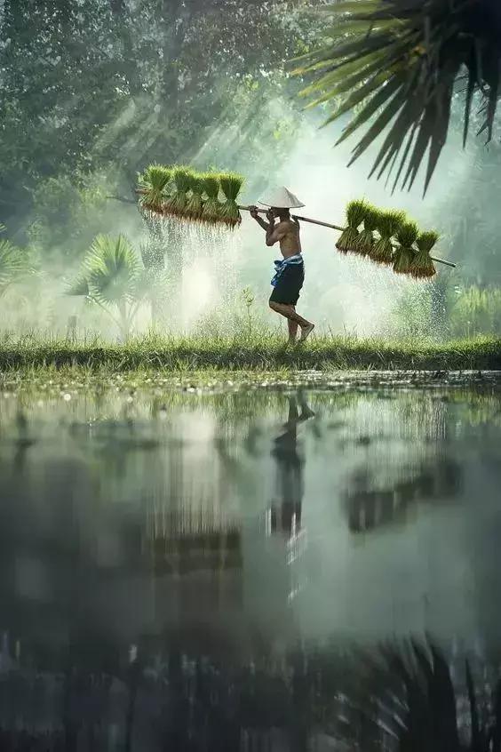 泰国隐秘的角落,泰国清迈古城旅游价格