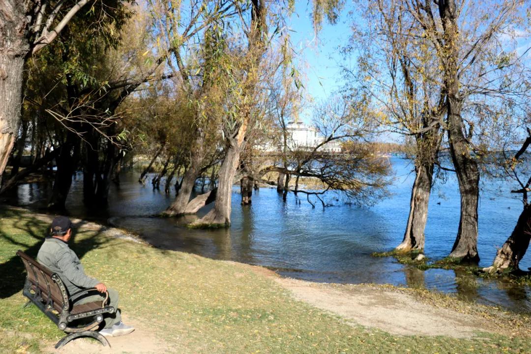 跟着综艺，让恋爱在大理浪漫