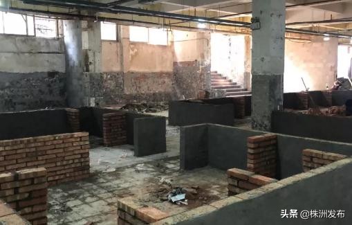 湖南发展规划株洲排第二,2020年株洲各市区发展潜力