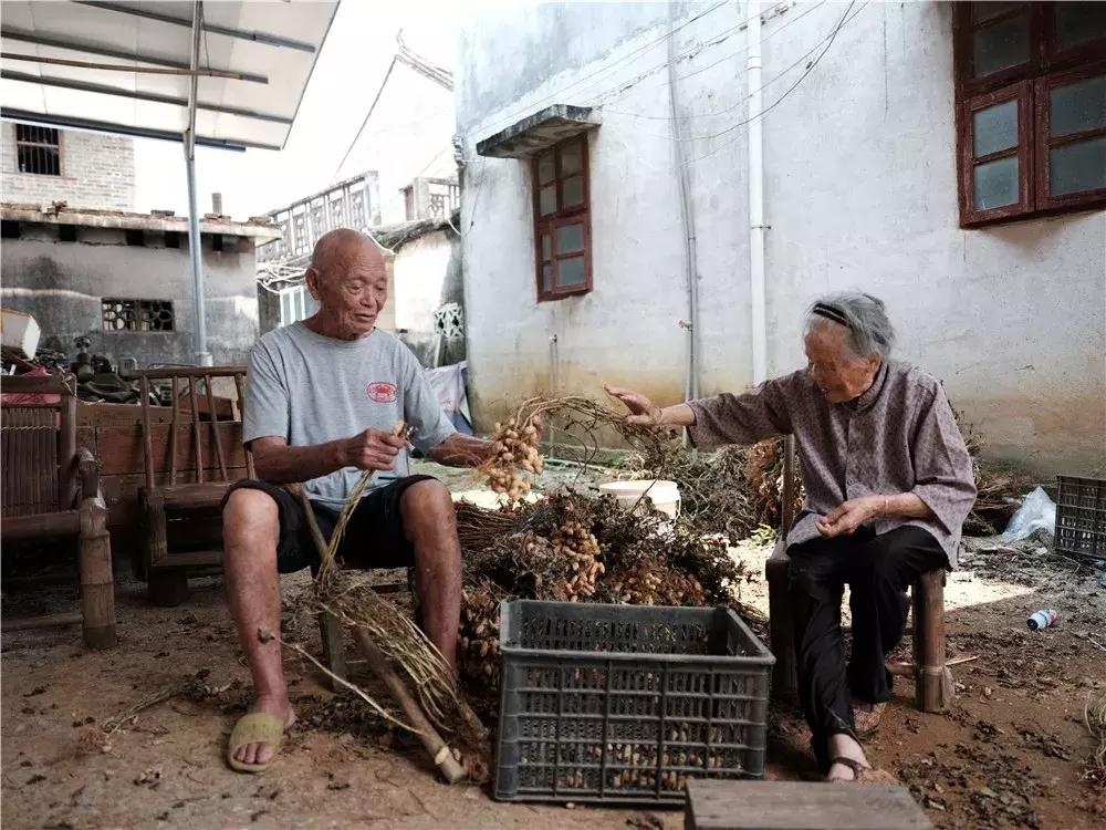 广西百岁老兵的故事,中国日报百岁老人故事