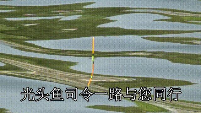 钓不到鱼说是钓友技术问题,钓不到鱼怀疑饵料有问题