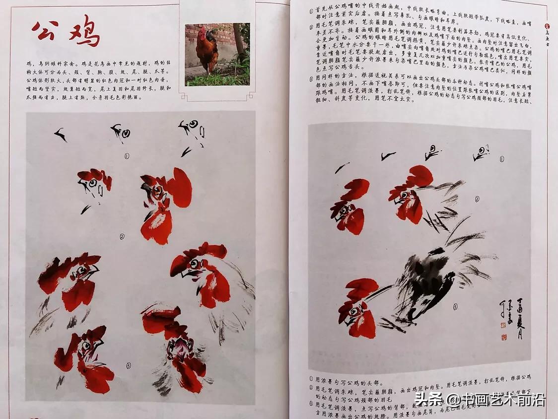 墨豪画鸡全过程,墨豪画鸡创意作品