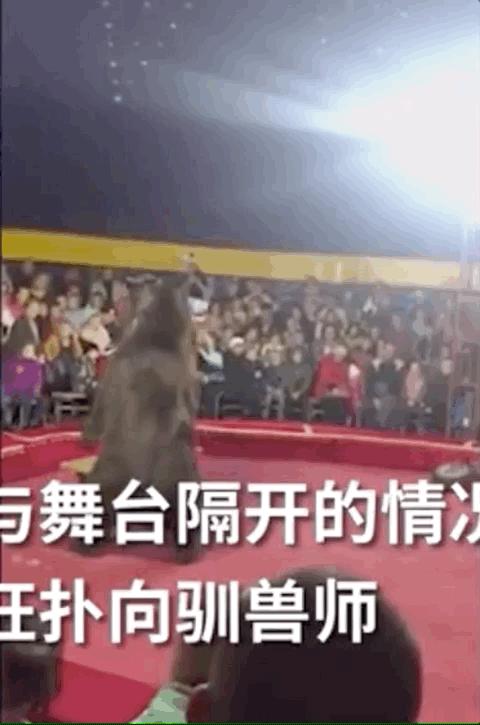 被铁链拴住的一生,被铁链绑住全身后逃脱