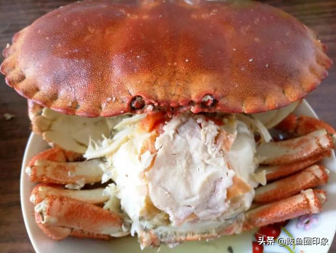 海鲜市场里的秘密：面包蟹其实价格很便宜