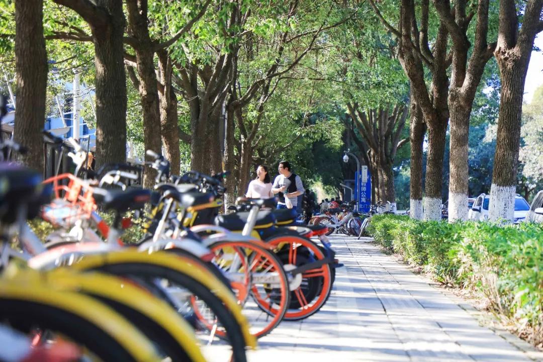 逛完这15条街瞬间看懂上海,逛完这五条街让你彻底爱上杭州