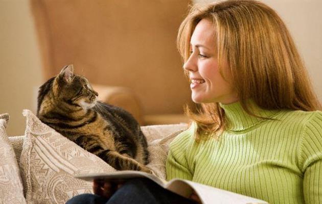 新手养猫省钱攻略教程,新手零基础养猫攻略