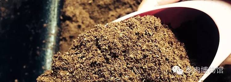 多肉用什么土长得快怎么配土,新手养多肉怎么配土最好