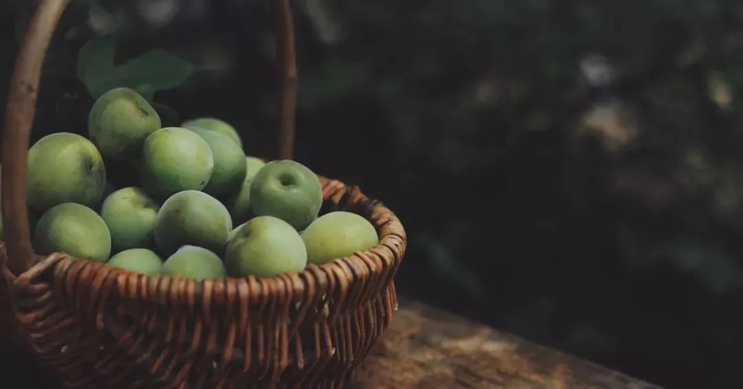 大理的一棵梅花,一棵大理梅品百味解千愁