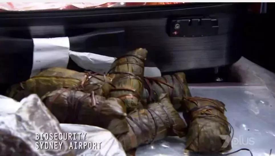 过海关被拉进小黑屋会发生什么,过海关被关进小黑屋怎么办