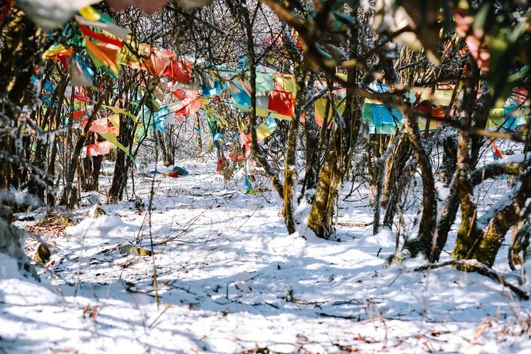 成都天台山景区自驾游攻略,成都天台山玩雪