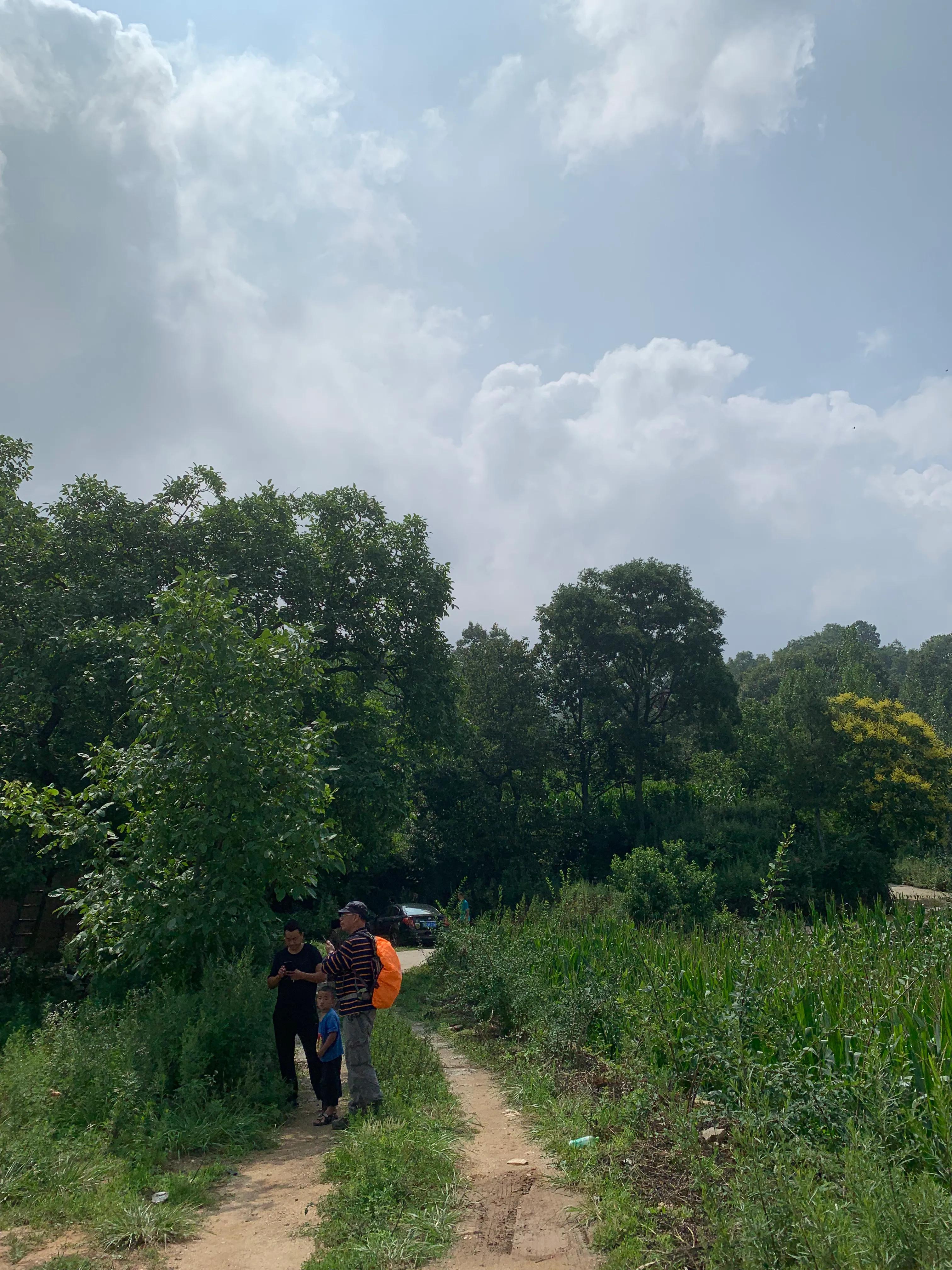 一朵花的守候——七峪沟纪行