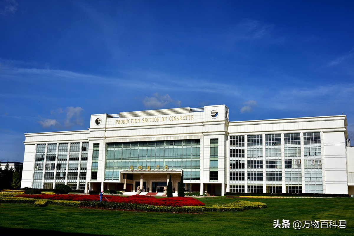 中国卷烟厂收入排名,中国各地卷烟厂销售额排名