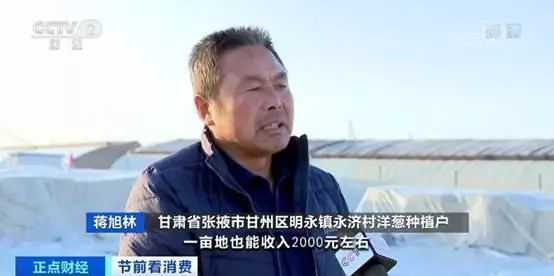 洋葱价格后期看涨,今年种洋葱行情怎么样