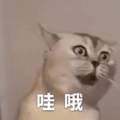 谷歌翻译告诉我螺蛳粉是snailpowder，蜗牛表示和它没关系