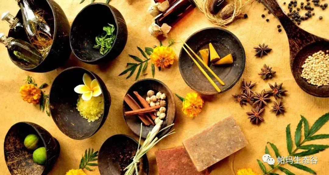 帕玛谷阿育吠陀基地,帕玛生态谷是什么