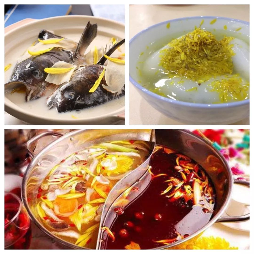 小榄菊花会景点门票,小榄菊花会12月开放吗