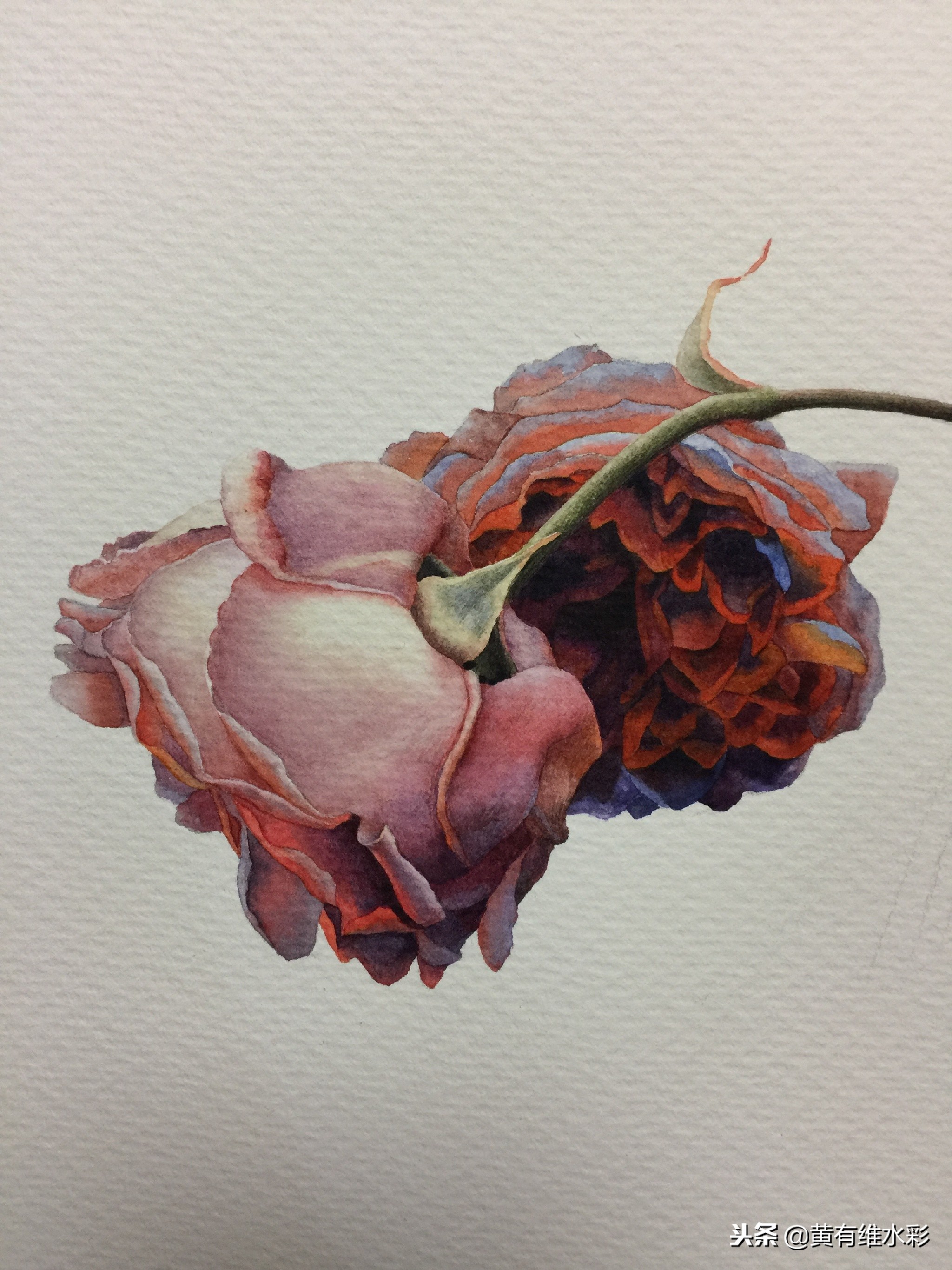 水彩教程简单好看手绘图片,水彩教程画花