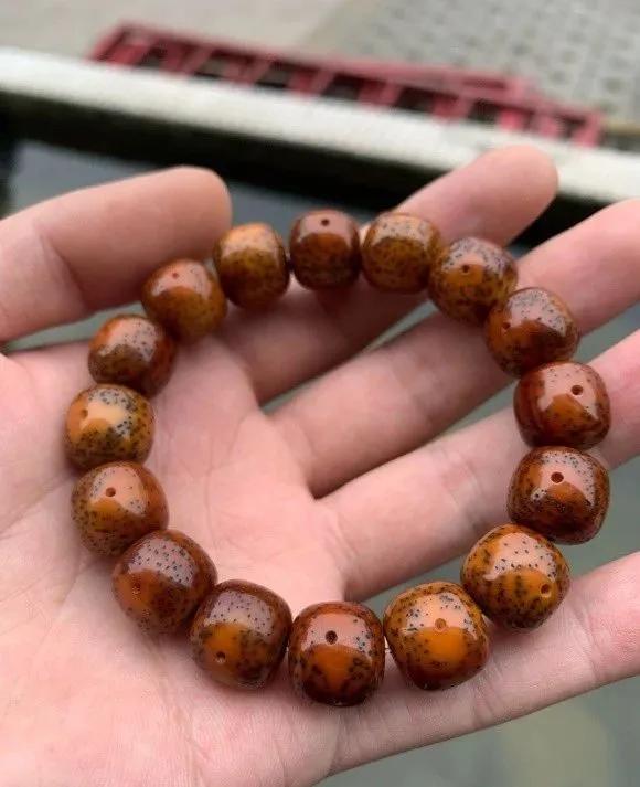 星月菩提盘玉化后效果,星月菩提全玉化和微玉化