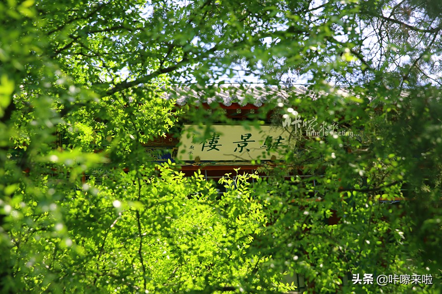 保定古莲花池是皇家园林,保定古莲花池始建于哪个朝