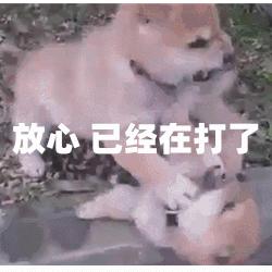 小孩子多大可以吃跟大人一样的油,吃哪种油是对大人小孩最好的