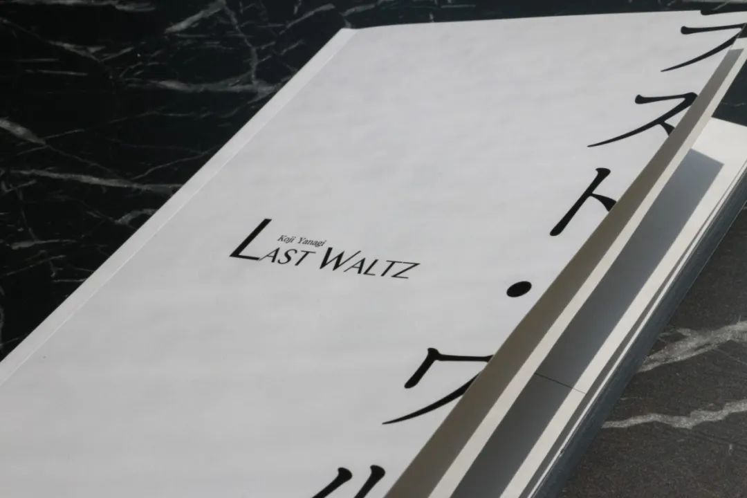 那个D机关，回来了